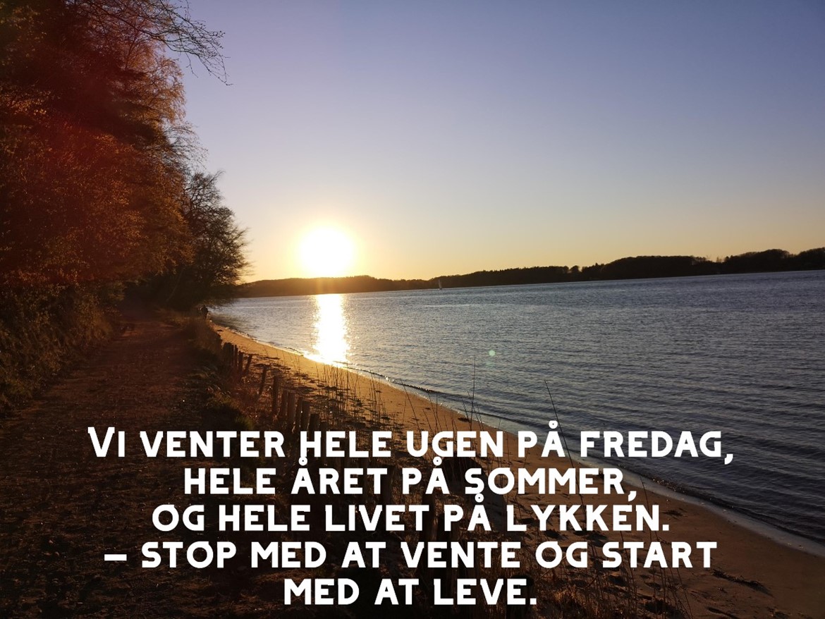 start med at leve.jpg